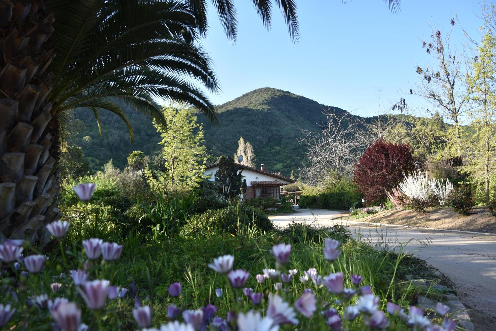 Hotel Boutique Solaz Bella Vista De Colchagua Santa Cruz Εξωτερικό φωτογραφία