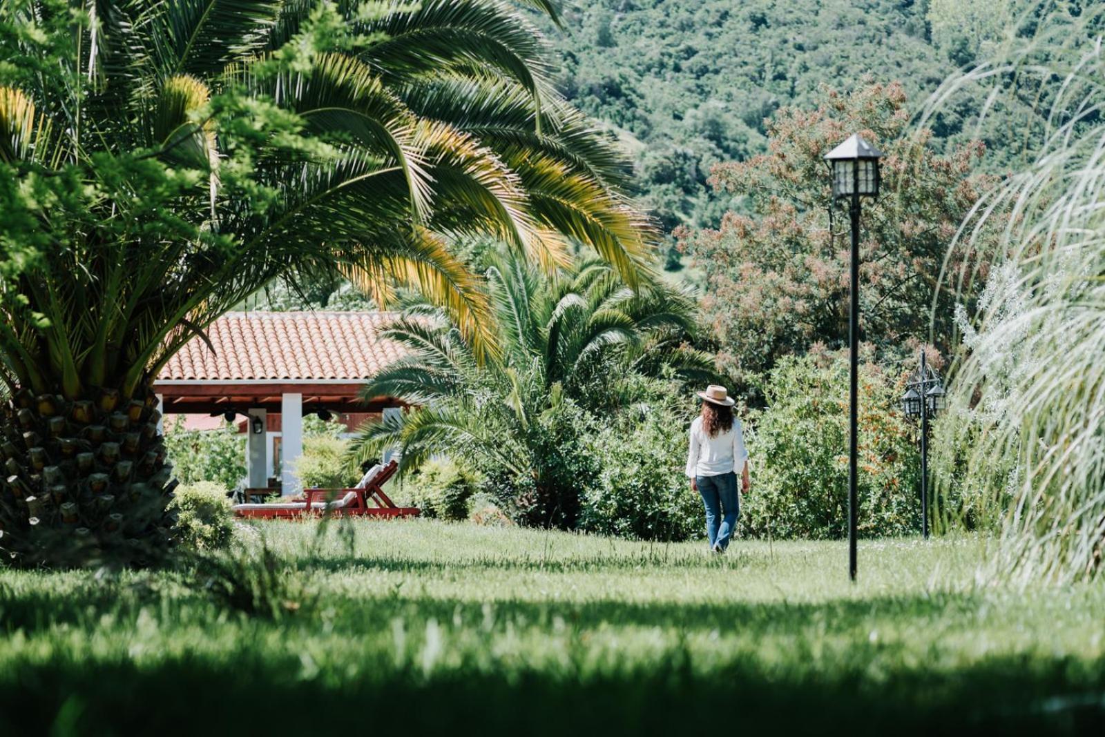 Hotel Boutique Solaz Bella Vista De Colchagua Santa Cruz Εξωτερικό φωτογραφία