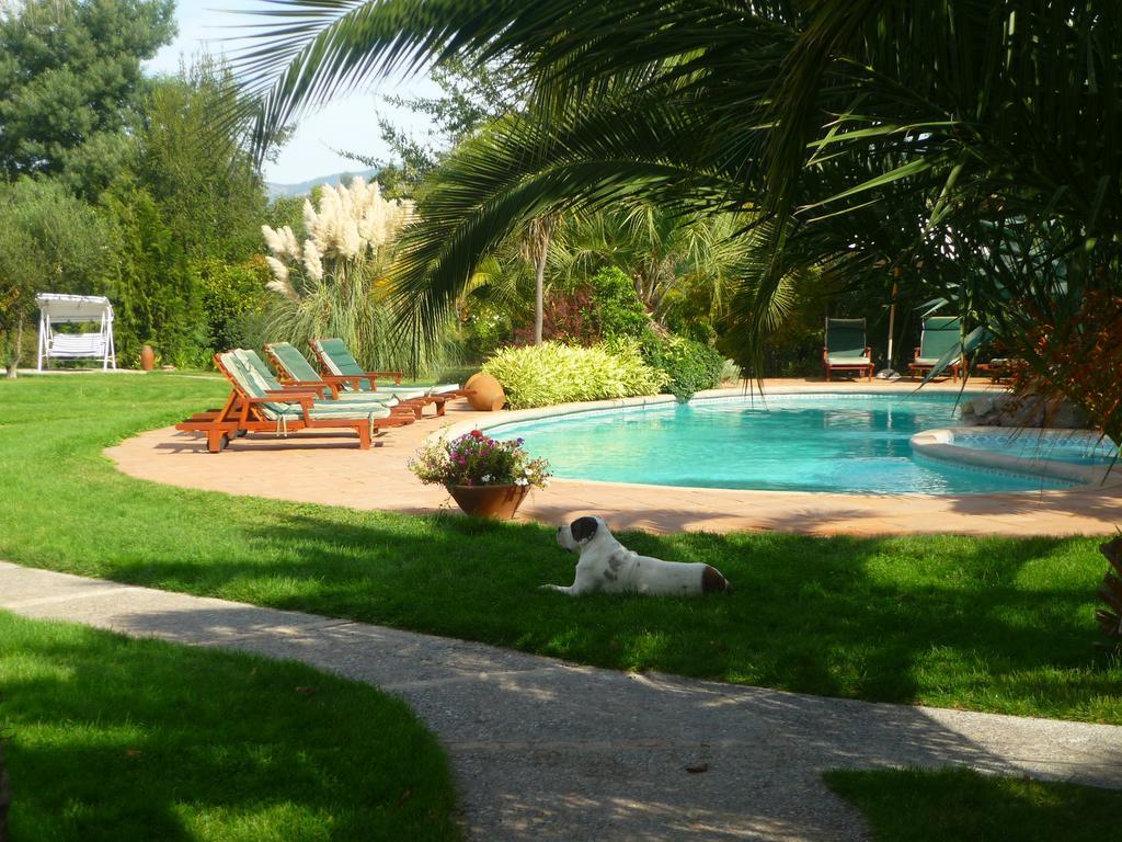 Hotel Boutique Solaz Bella Vista De Colchagua Santa Cruz Εξωτερικό φωτογραφία