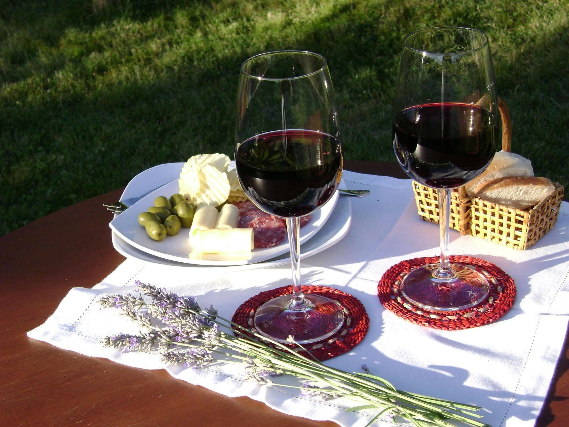 Hotel Boutique Solaz Bella Vista De Colchagua Santa Cruz Εξωτερικό φωτογραφία